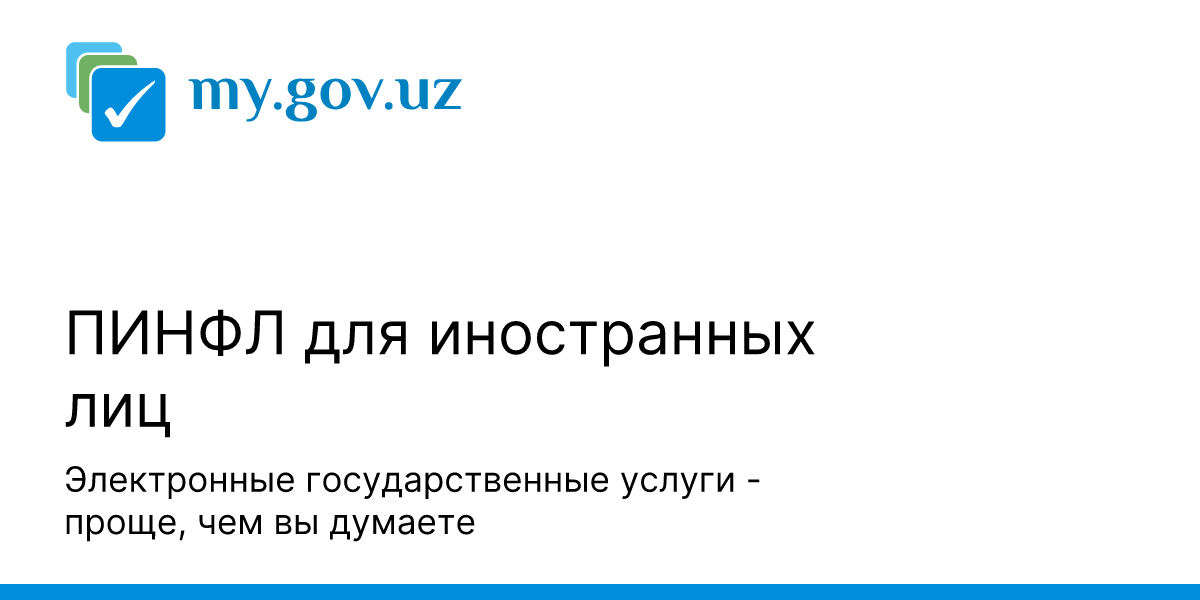 что такое пинфл в российском паспорте